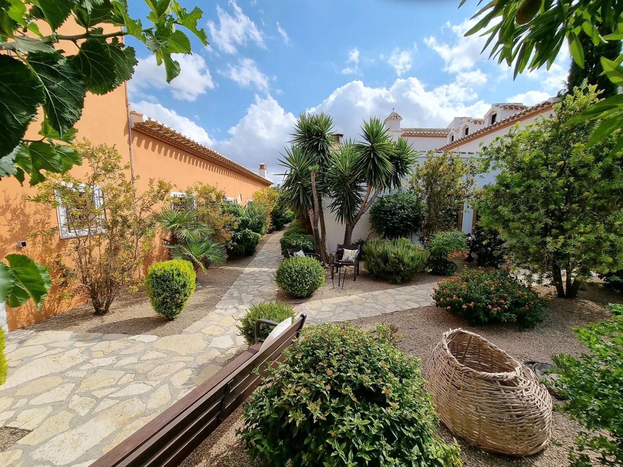 Desconexion Entre Olivos Centenarios Villa Velez Blanco Ngoại thất bức ảnh